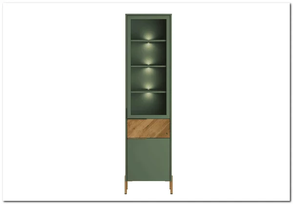 Витрина Siena REG1W1D1S дымчатый зеленый/дуб вотан BRW заказать по цене 28 950 руб. в Волгограде